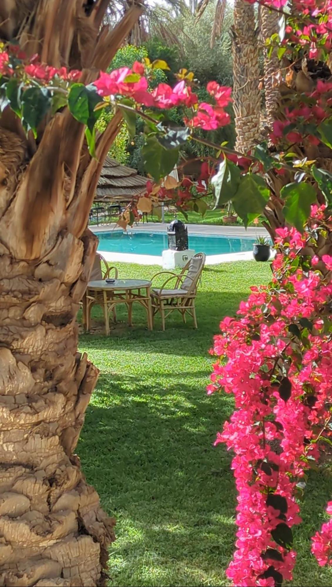 Maison D Hote Ighrem Goulmima Bagian luar foto